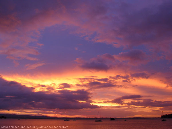 Sanset at Waitemata Harbour, Auckland, New Zealand
