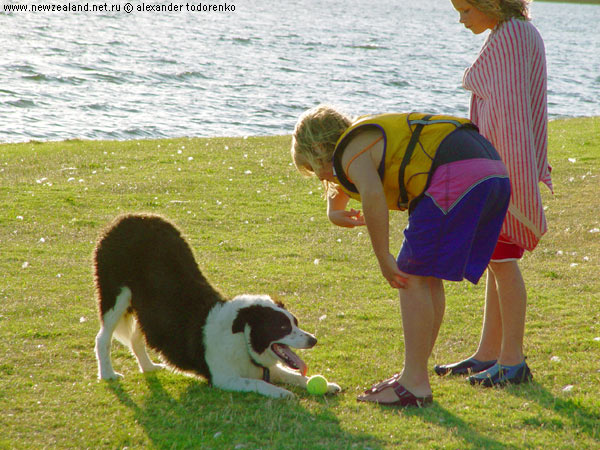 Play with me, Lake Pupuke, Auckland, New Zealand