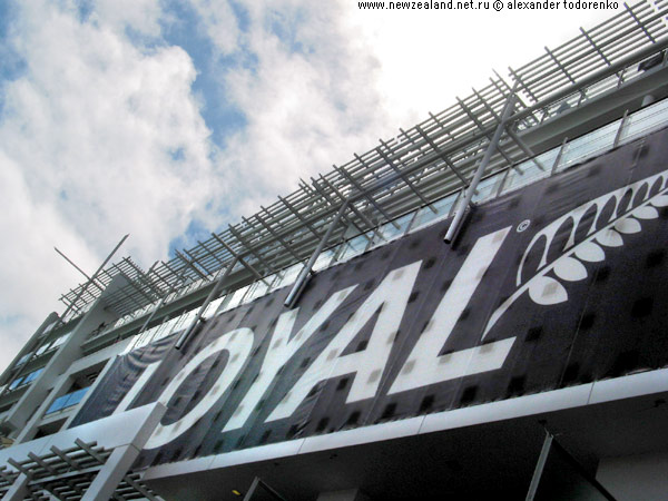 Loyal campaign, Auckland, New Zealand