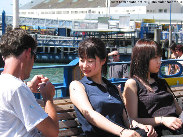 America's Cup Tatoo, Auckland, New Zealand