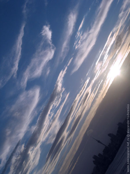 Auckland, Planet Earth, New Zealand