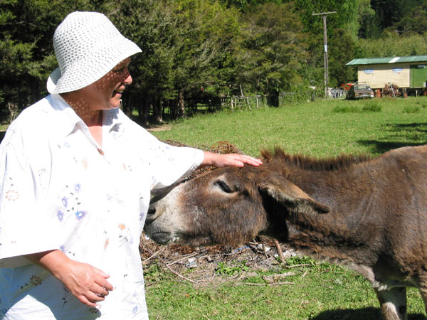 Mama and jerusalem donkey, Motorcycle and Pioneering Museum, Bay of Islands, New Zealand