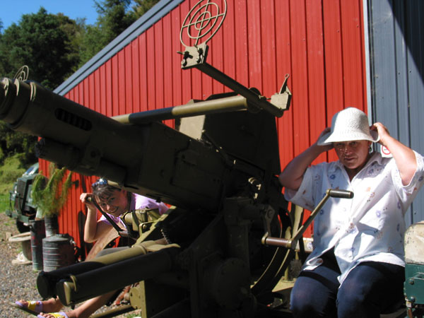 Fighting Painted Apple Moth, Motorcycle and Pioneering Museum, Bay of Islands, New Zealand
