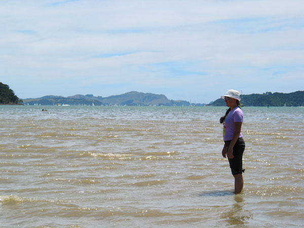Low tide in Paihia, Paihia, Bay of Islands, New Zealand