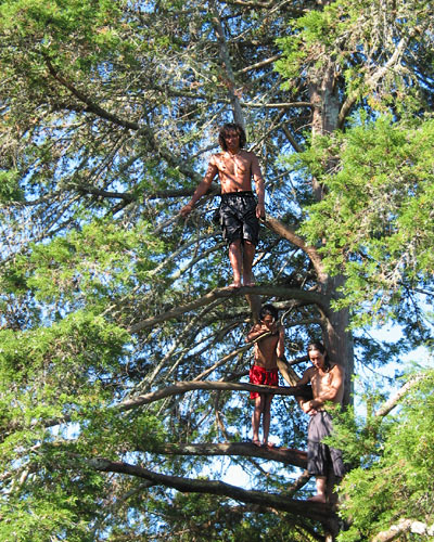 Plunging into the waterhole, Whangarei Falls, New Zealand
