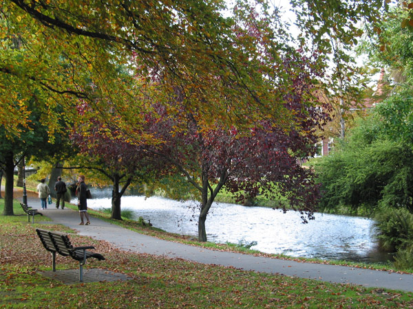 Autumn colours, Christchurch, New Zealand