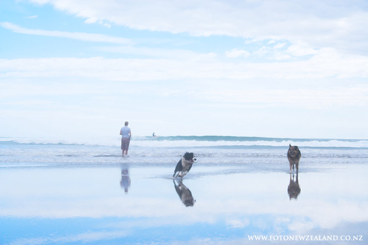 Te Henga (Bethells beach), Auckland, New Zealand