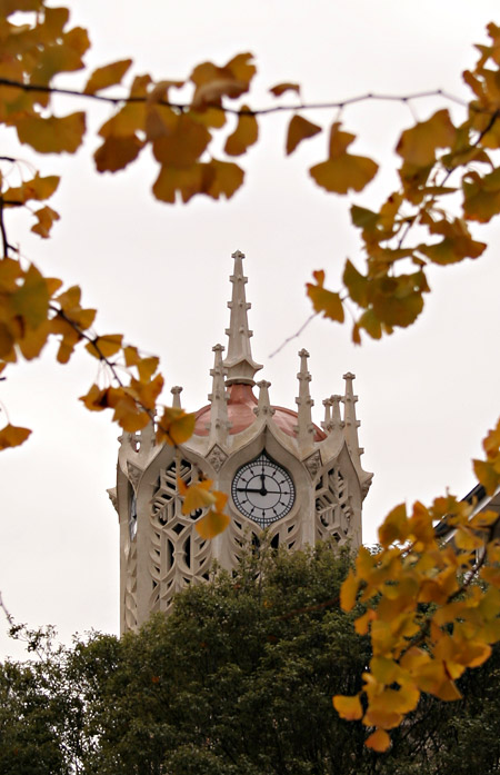 Clock Tower. Main building of University of Auckland, Auckland, New Zealand