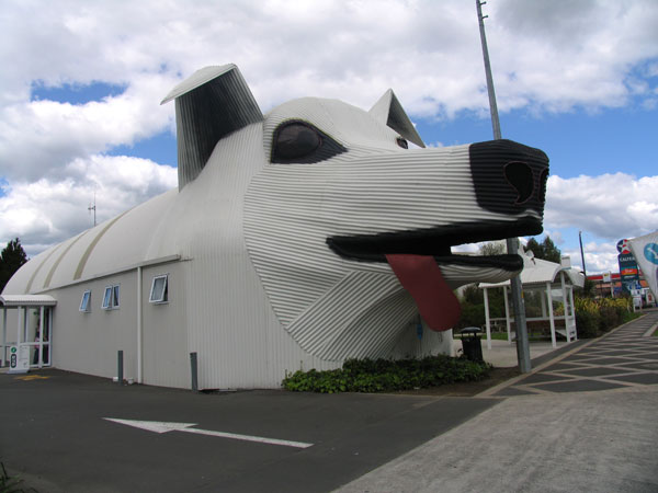 Notable doggy on the way to Rotorua, On the way from Auckland to Rotorua, New Zealand