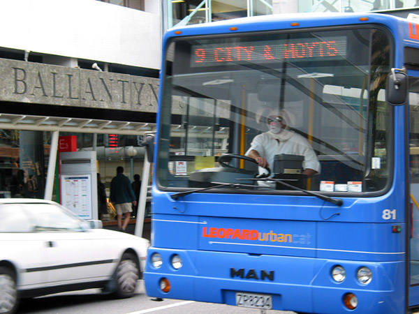 Wild Easter  rabbit driving a Leopard bus, Christchurch, New Zealand