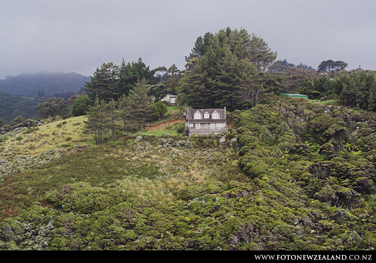 Life on the edge, Karekare beach, Auckland, New Zealand