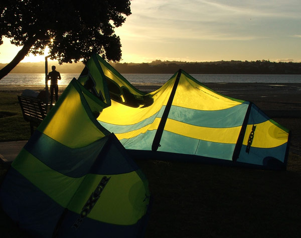 Resting kite, Bayswater, Auckland, New Zealand