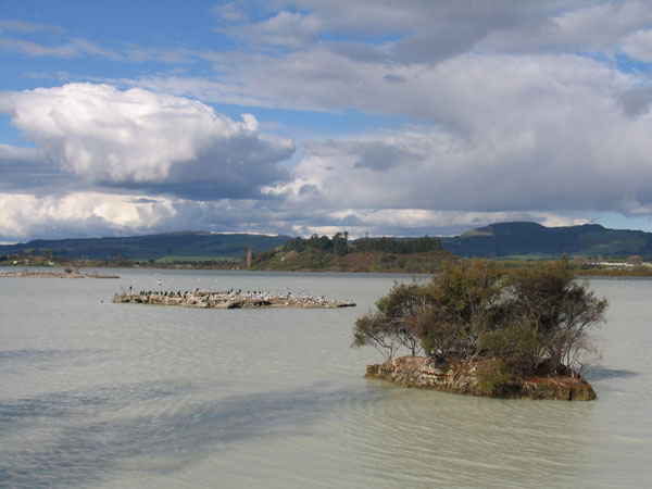 Milky waters of Lake Rotorua, Rotorua, New Zealand