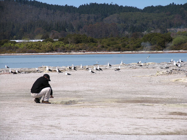 A hole with a boiling hot water in the ground, Rotorua, New Zealand