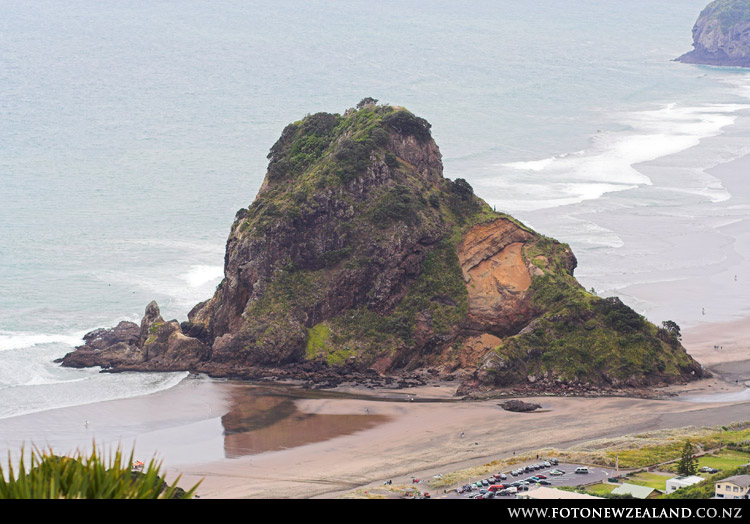 Lion Rock, Piha Beach, Auckland, New Zealand