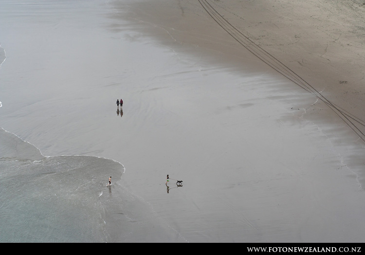 Bird's eye view from Lion Rock, Piha Beach, Auckland, New Zealand