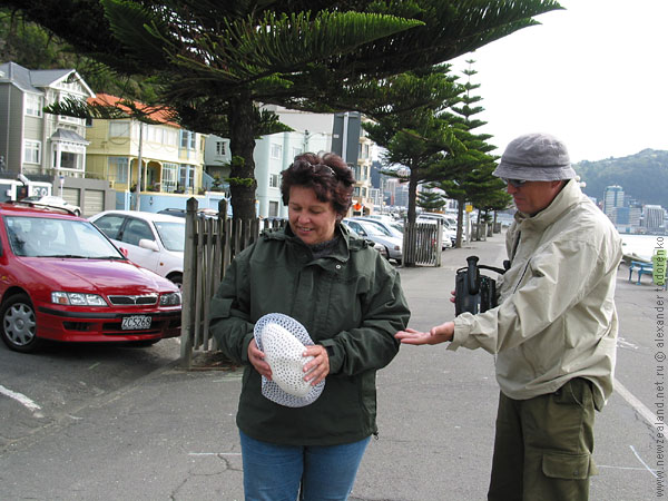 Parents in Wellington, Wellington, New Zealand