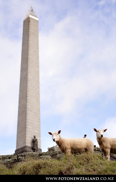 One Tree Hill, Auckland, New Zealand