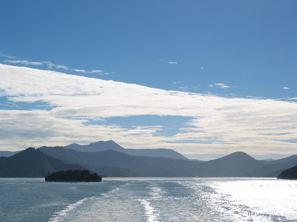 Fiords on the way to Picton, Queen Charlotte Sound, New Zealand