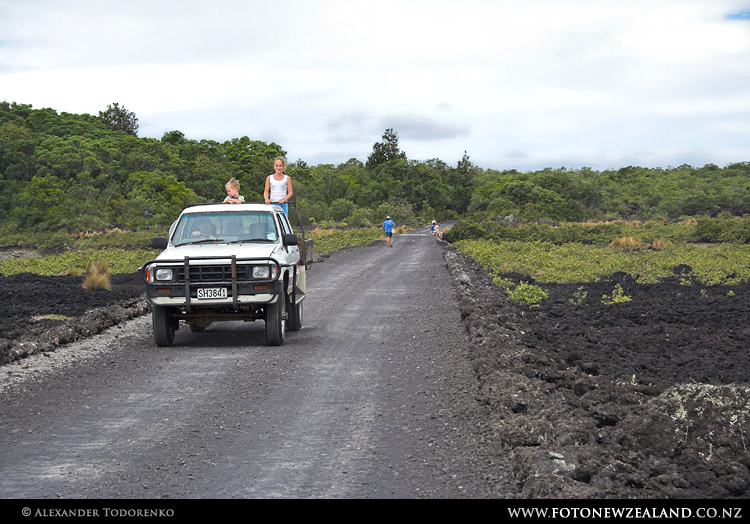 Rangitoto. Road through black lava fields, Rangitoto Island, New Zealand