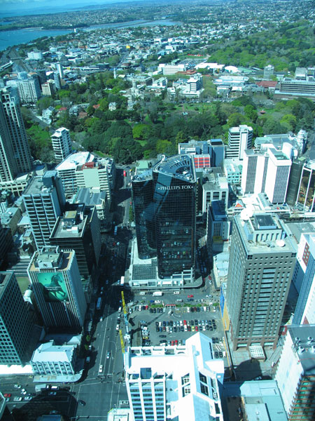 Albert Park, view from Sky Tower, Auckland, New Zealand