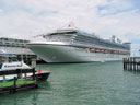 Star Princess in Auckland