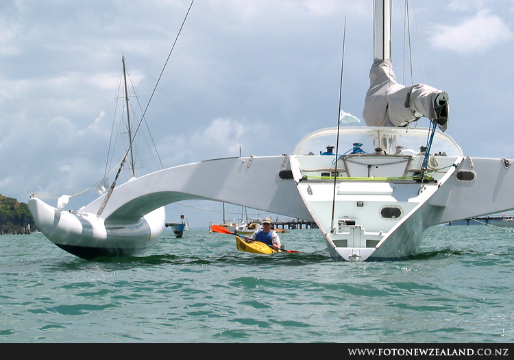 Roma under the wing of a trimaran, Okahu Bay, Auckland, New Zealand