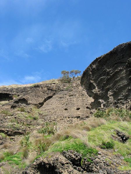 Auckland, New Zealand