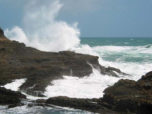 Auckland, New Zealand