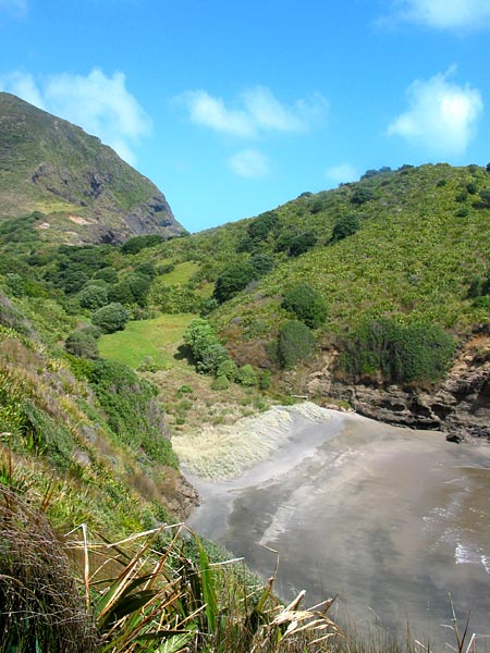 Auckland, New Zealand