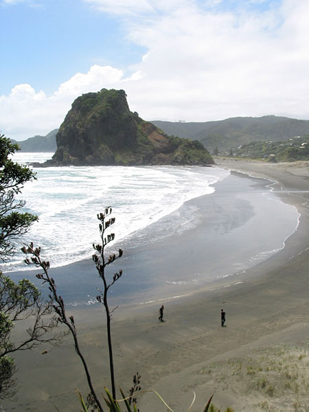Piha Beach. Lion Rock, Auckland, New Zealand