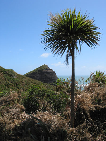 Auckland, New Zealand
