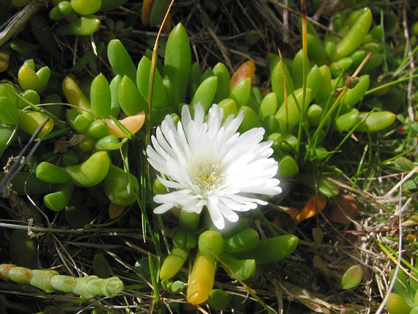 Auckland, New Zealand