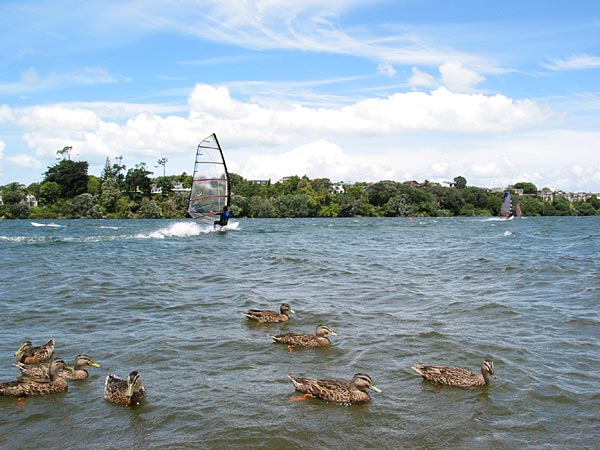 Auckland, New Zealand