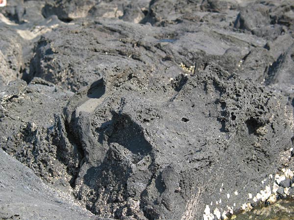 Black volcanic rocks, Auckland, New Zealand