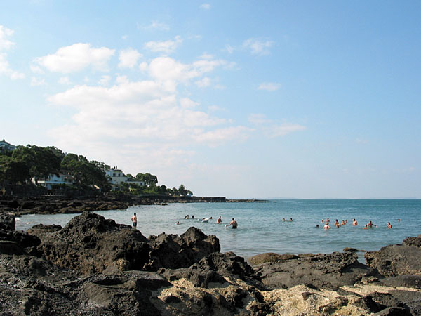 Swimming in the sea, Auckland, New Zealand