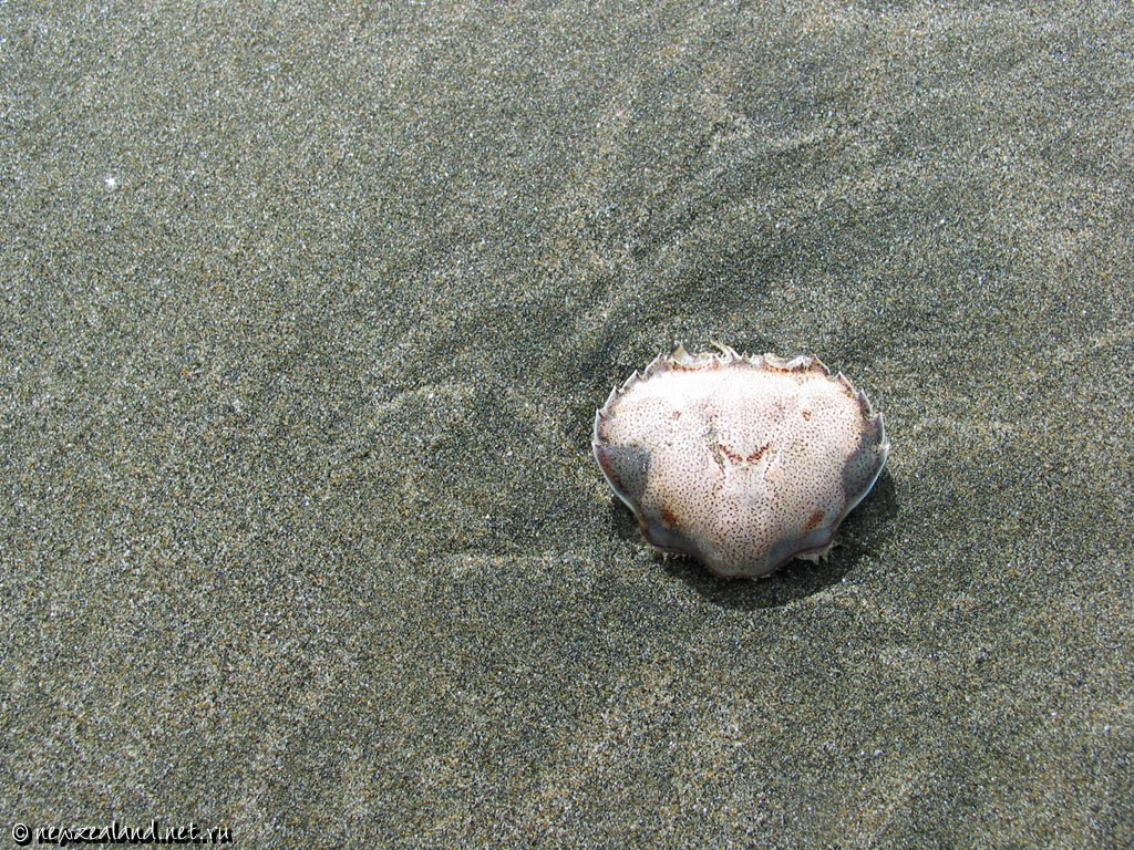 Photo New Zealand, Wallpapers