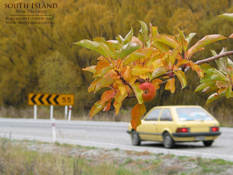 Photo New Zealand, Wallpapers