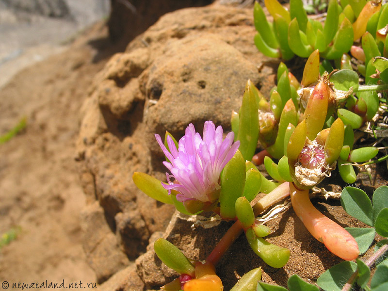 Photo New Zealand, Wallpapers