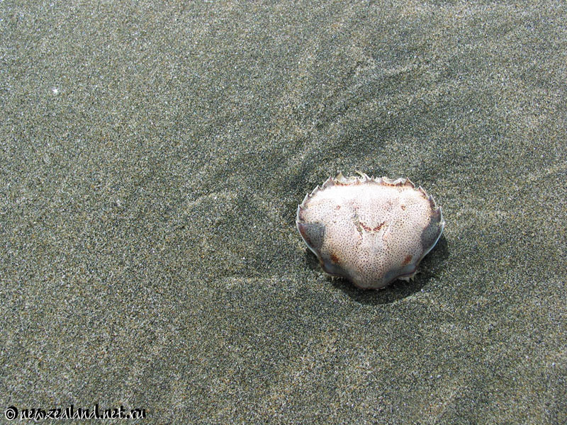 Photo New Zealand, Wallpapers