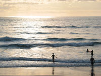 Muriwai Beach, Auckland