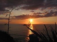 Sunset at Muriwai Beach