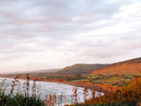 Muriwai Beach, Auckland