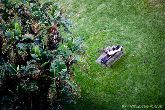 A man in a white shirt relaxing on a bench in the park in Sydney.