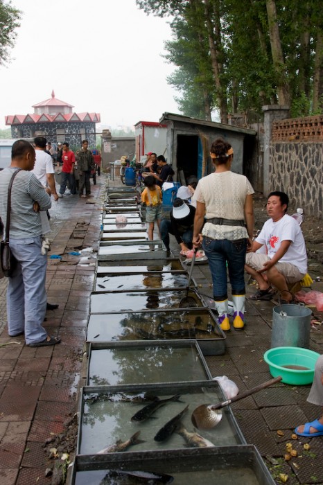 Fish section of the market in Wudalianchi